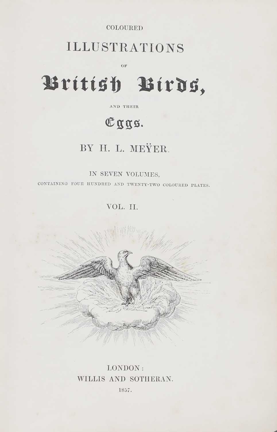 Artwork by H. L. Meyer, Meyer, Made of Coloured Illustrations