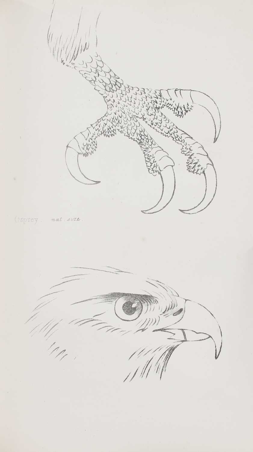 Artwork by H. L. Meyer, Meyer, Made of Coloured Illustrations