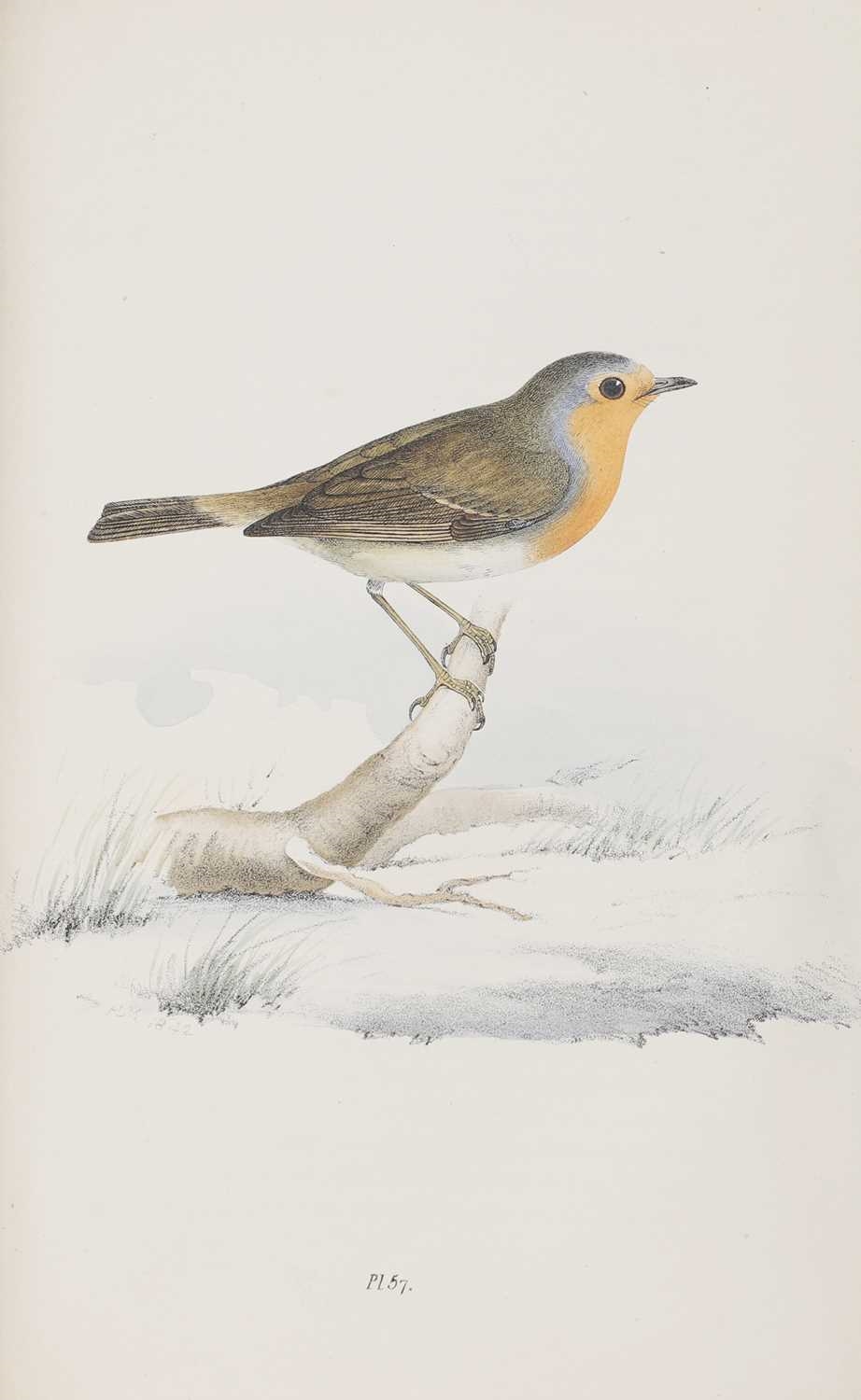 Artwork by H. L. Meyer, Meyer, Made of Coloured Illustrations