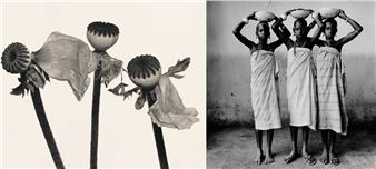 Irving Penn: Kinship - Pace New York (508 West 25th Street)