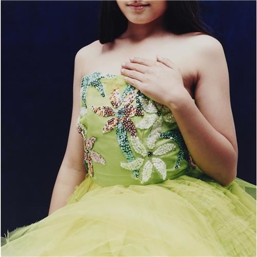 First Night by Deborah Paauwe, 2001