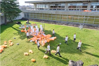 Mukai Eriko: Approach 3:1 - Kyoto City KYOCERA Museum of Art