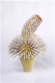 Zemer Peled