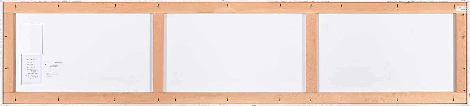 Artwork by Danny Singer, Empress AB #3/5, Made of digital print on aluminum panel