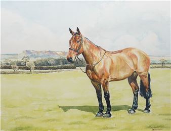 Portrait of a Bay Horse with the Kilburn White Horse Beyond - Ruth Buchanan