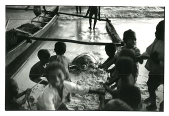Turtle. Circa 1980 - Franco Zecchin