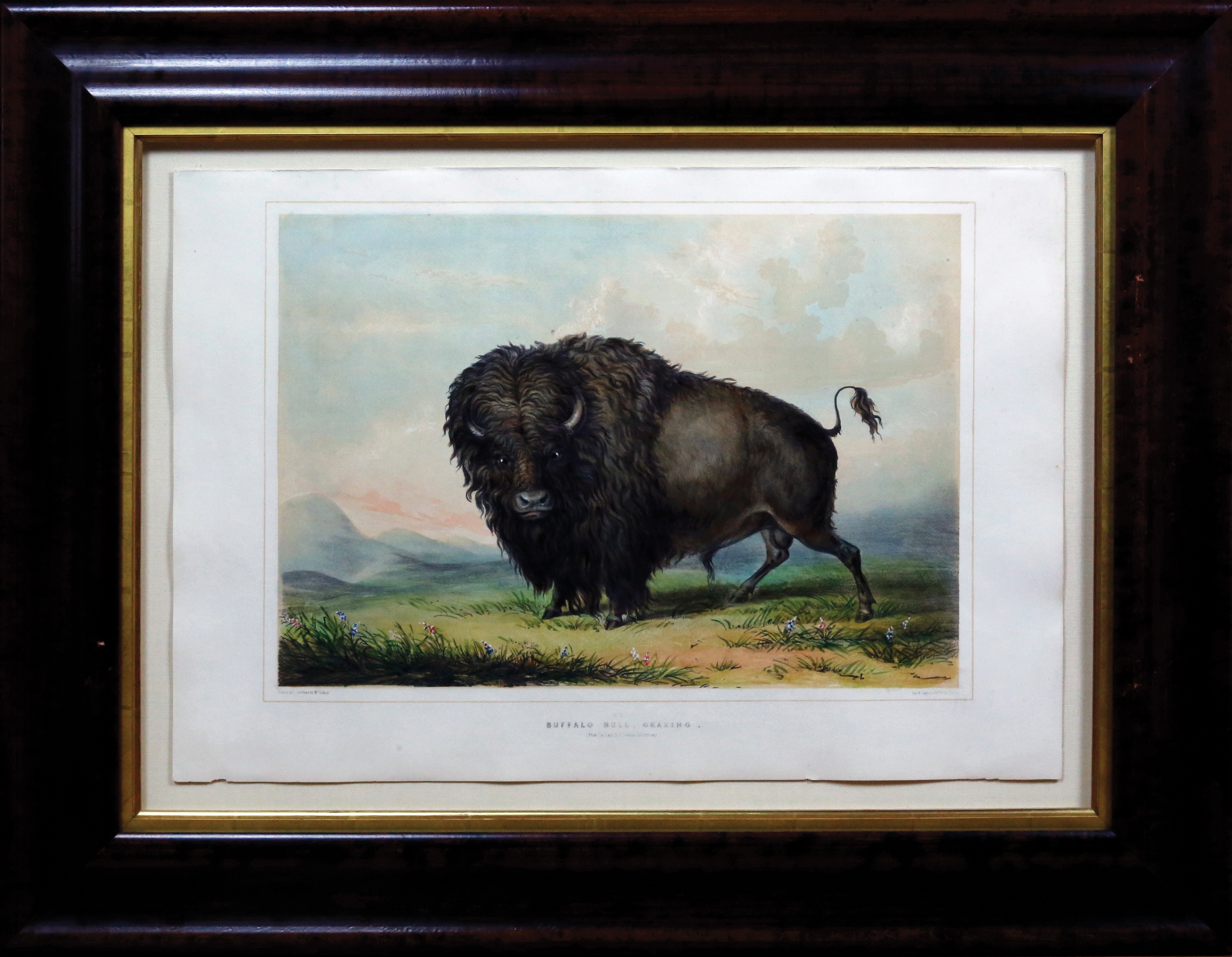 George Catlin | North American Indian Portfolio. (1875) | MutualArt