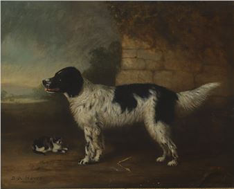 A black and white spaniel with a cat - B. Aplin Howe