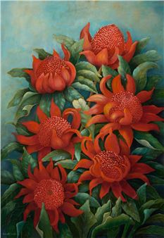 Red Waratah flowers - Renate Untaru