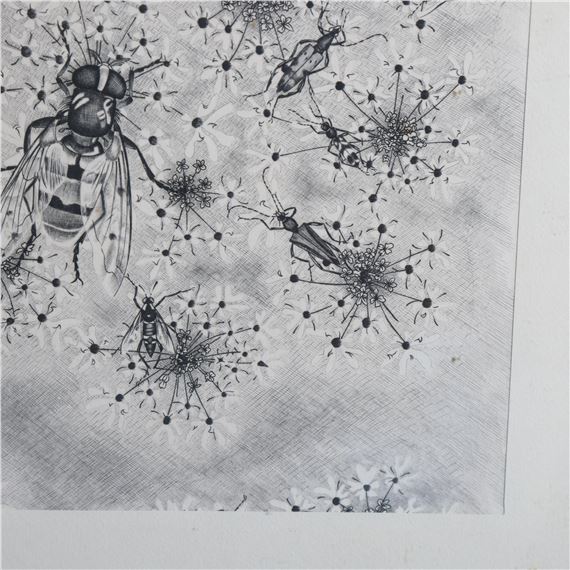 Tony Nolton | aquatic insects walking on water | MutualArt