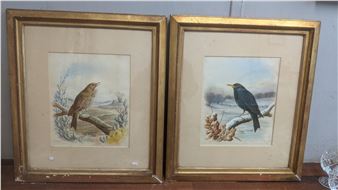 Harry Bright two watercolours framed and glazed depicting birds perched on branches - Harry Bright