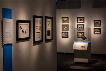 90 Years of Duck Stamps and Their Billion-Dollar Impact on Wildlife Habitat Conservation