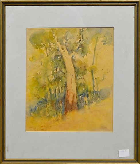 UNTITLED (GHOST GUM) - Doris Boyd