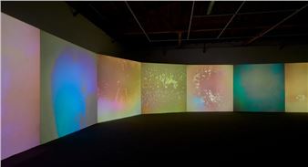 Los Angeles Art Exhibitions: The Best Shows to See in November