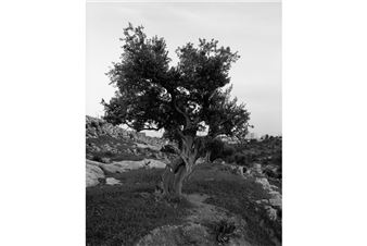 Exhibition brings together works by various artists that confront us with the unspeakable