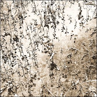 Katja Snozzi: in-Visibilia - Fondazione Ghisla Art Collection