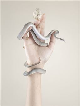 Petrina Hicks: Snakes and mirrors - Museum of Australian Photography (MAPh)