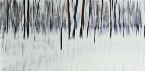 Vertikale IV - Sabine Wild