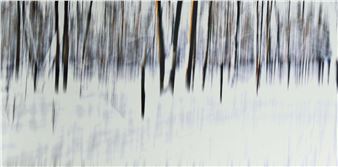 Vertikale IV - Sabine Wild