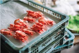 At Japan House Humanity Has Arrived at the Perfect Future: Food for Ogling, Not Eating