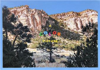 Luke Butler: Color Pictures - Charlie James Gallery (969 Chung King)