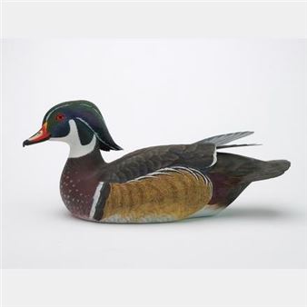 Wood duck drake - Jim Sprankle