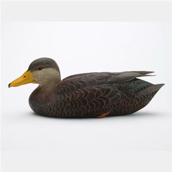 Black duck - Jim Sprankle