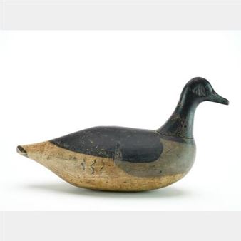 Rare swimming roothead brant - Smith Clinton Verity