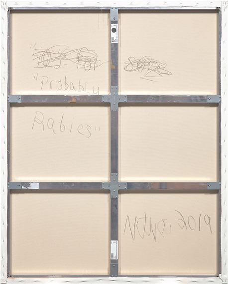 Robert Nava | Vision Probably Rabies (2019) | MutualArt