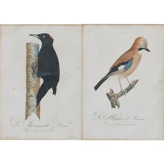 Johann Theodor Susemihl - Johann Theodor Susemihl