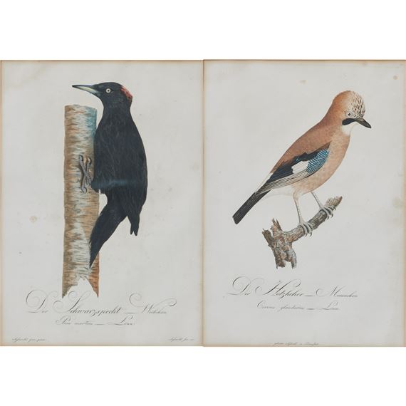 Johann Theodor Susemihl - Johann Theodor Susemihl