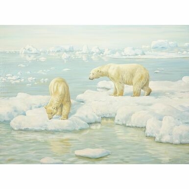 Artwork by Friedrich Reimann, Eisbären, Made of oil on hardboard