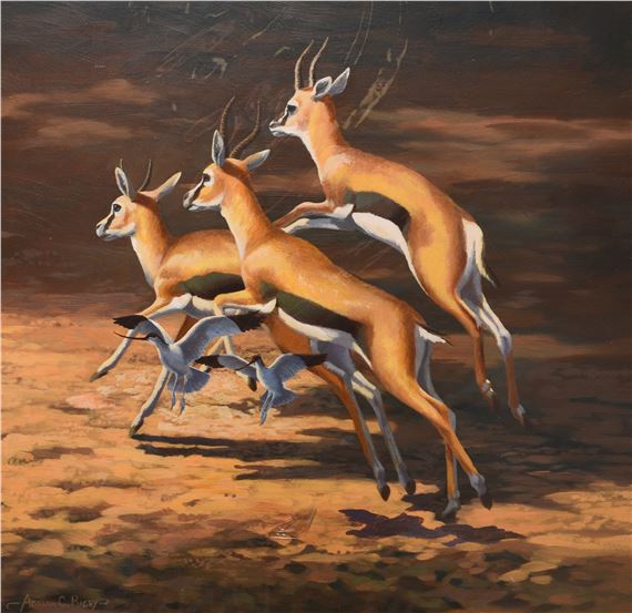 Adrian Rigby | Thompson's Gazelles | MutualArt