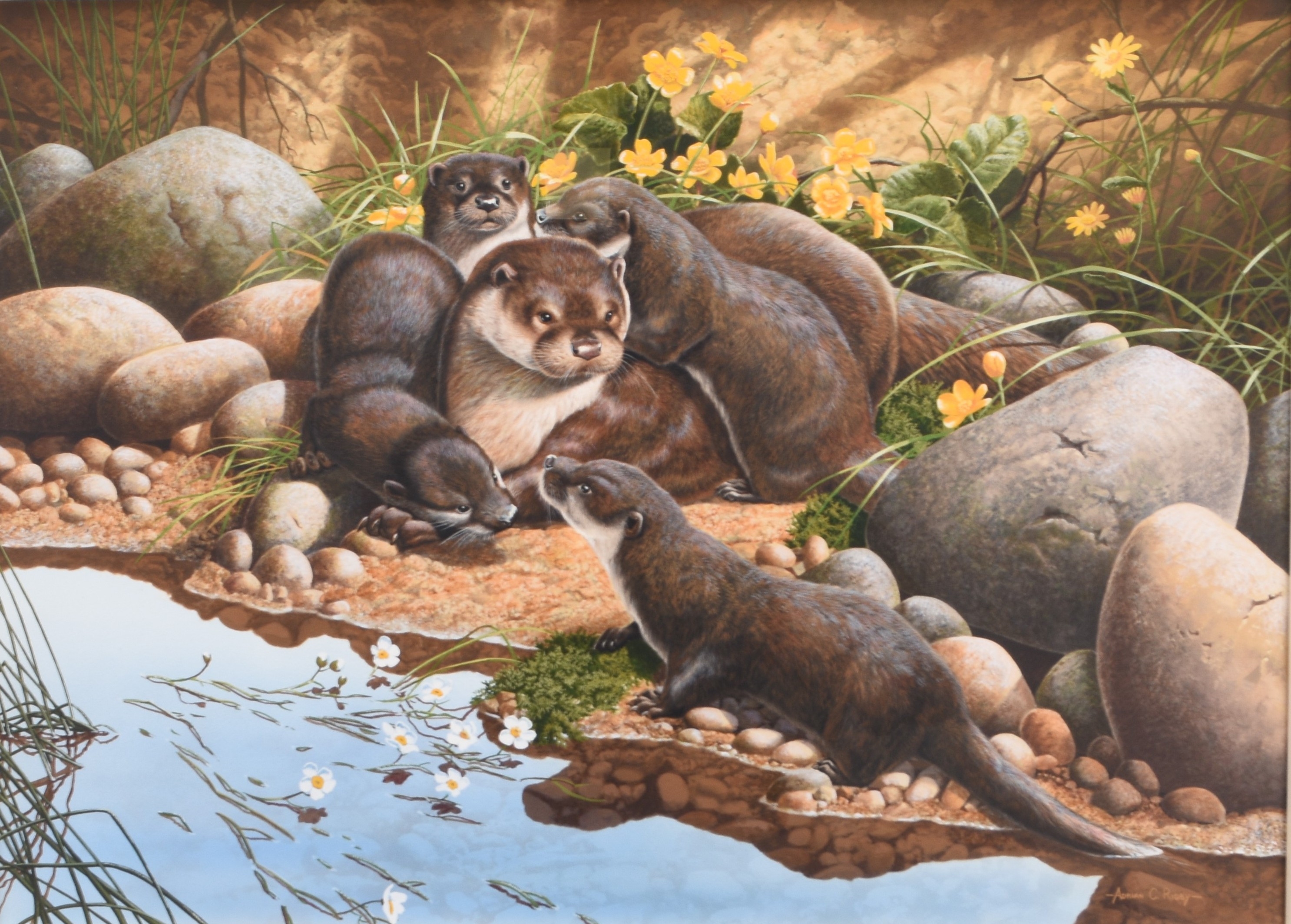Adrian Rigby | Otters | MutualArt
