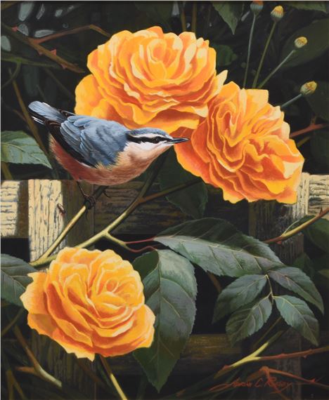 Adrian Rigby | Adrian Rigby (b.1962) Nuthatch | MutualArt