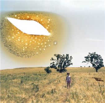 Longing, Not Sure What For - MO Museum