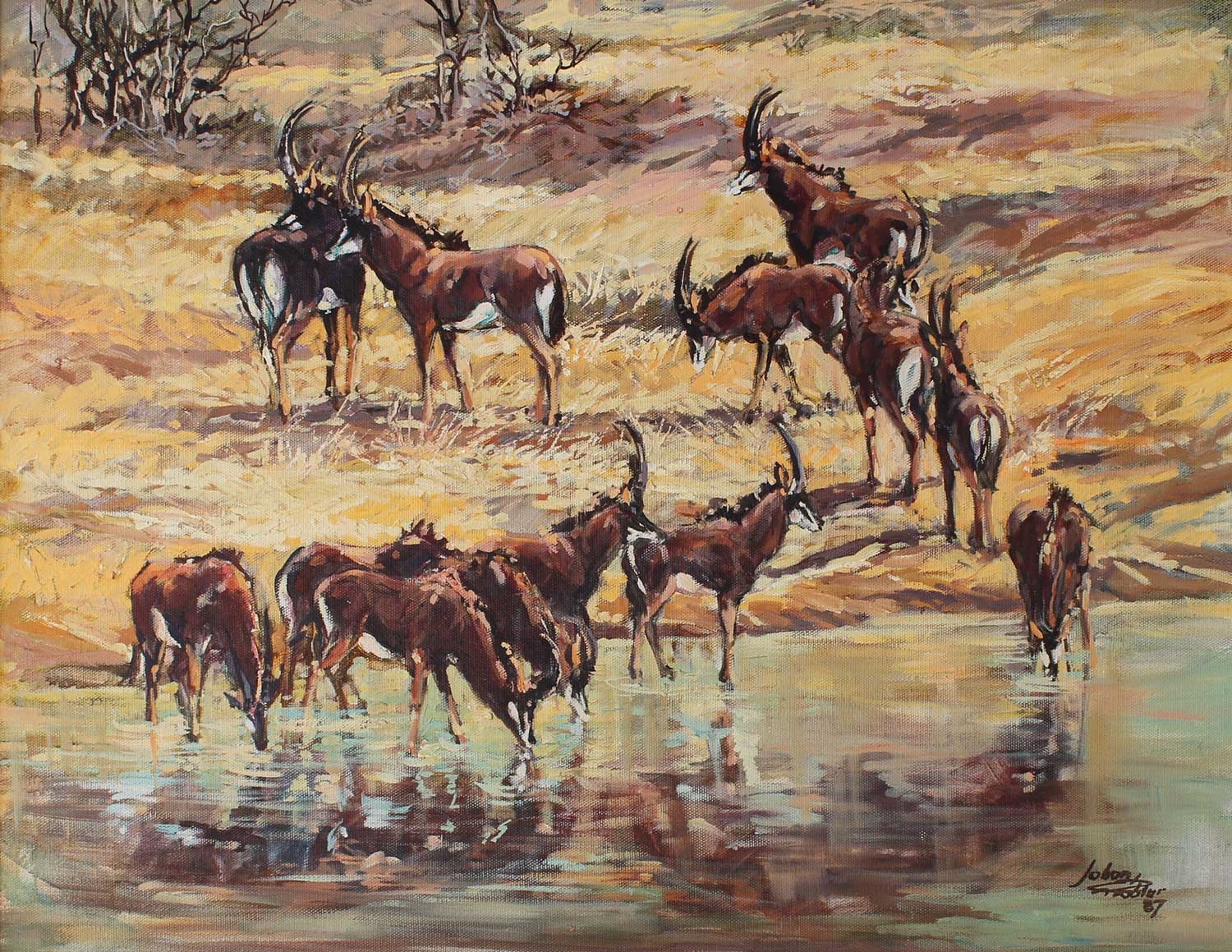 Artwork by Johan Grobler, JOHAN GROBLER - Sable Antelope, Made of Oil on Board