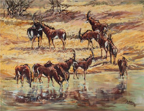 JOHAN GROBLER - Sable Antelope by Johan Grobler, Dated 87