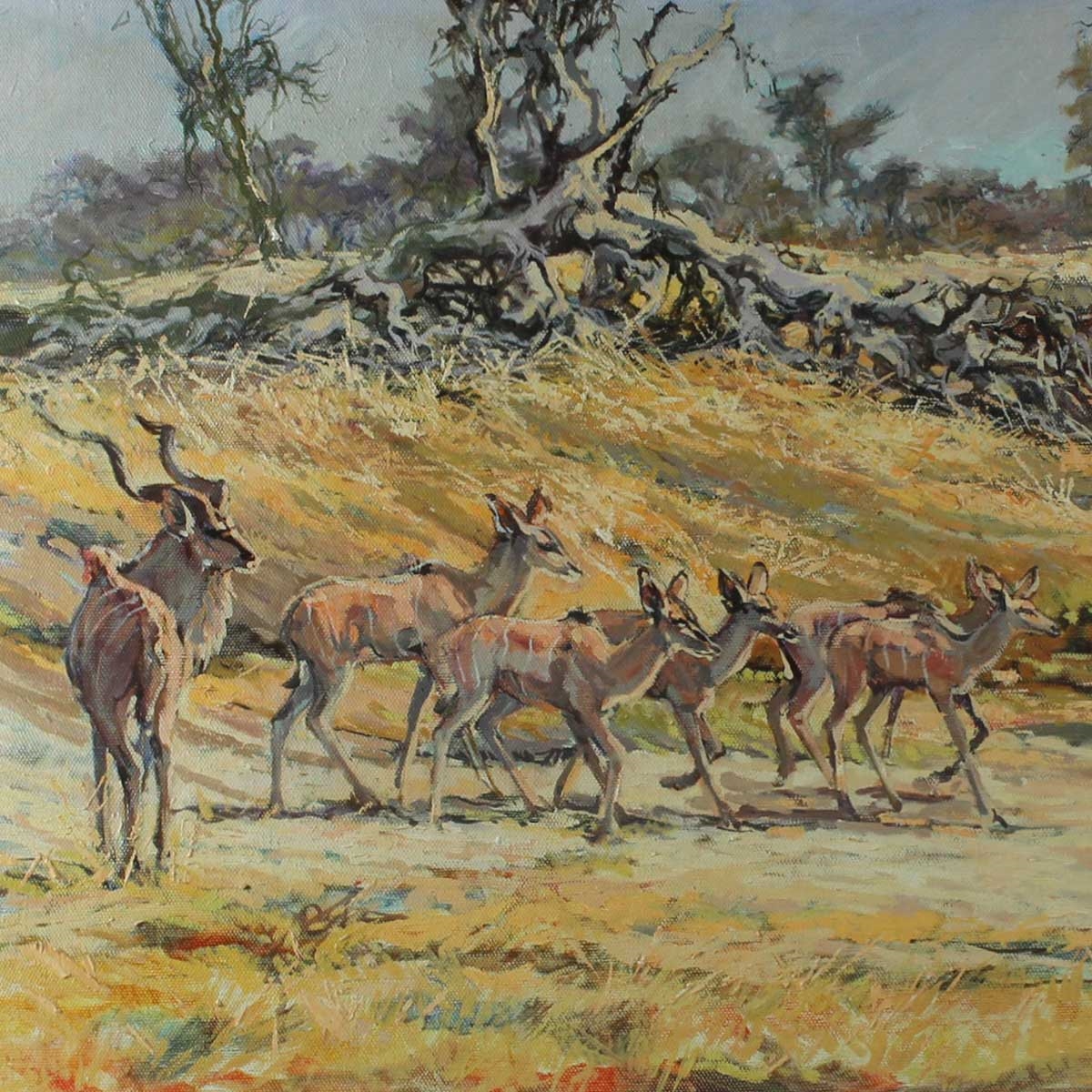 Artwork by Johan Grobler, JOHAN GROBLER - Kudu in a Dry Riverbed, Made of Oil on Board