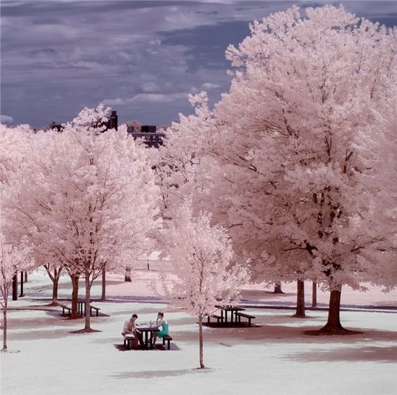 2024 Winter Artist Member Show - Marblehead Arts Association