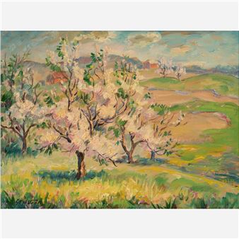 Trees in Bloom - Francesco J. Spicuzza