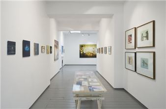 Susie Hamilton: Radiance And Shadows - Paul Stolper