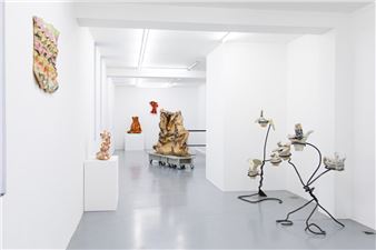 Clémence van Lunen: About Kingfishers, Pots and Curtains - Galerie Polaris