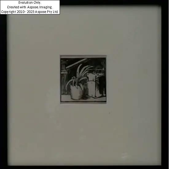 Potted Plant - 1940s