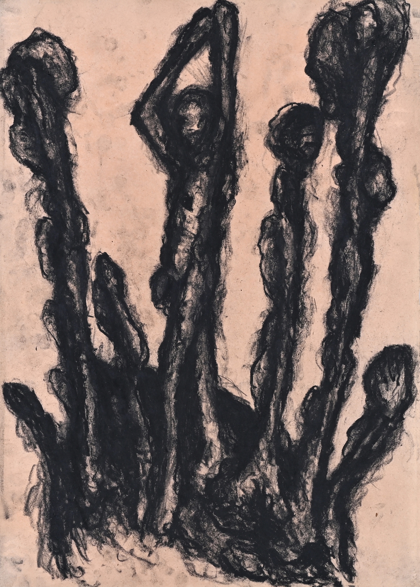 Artwork by Peter Kamm, Untitled, Made of charcoal on paper