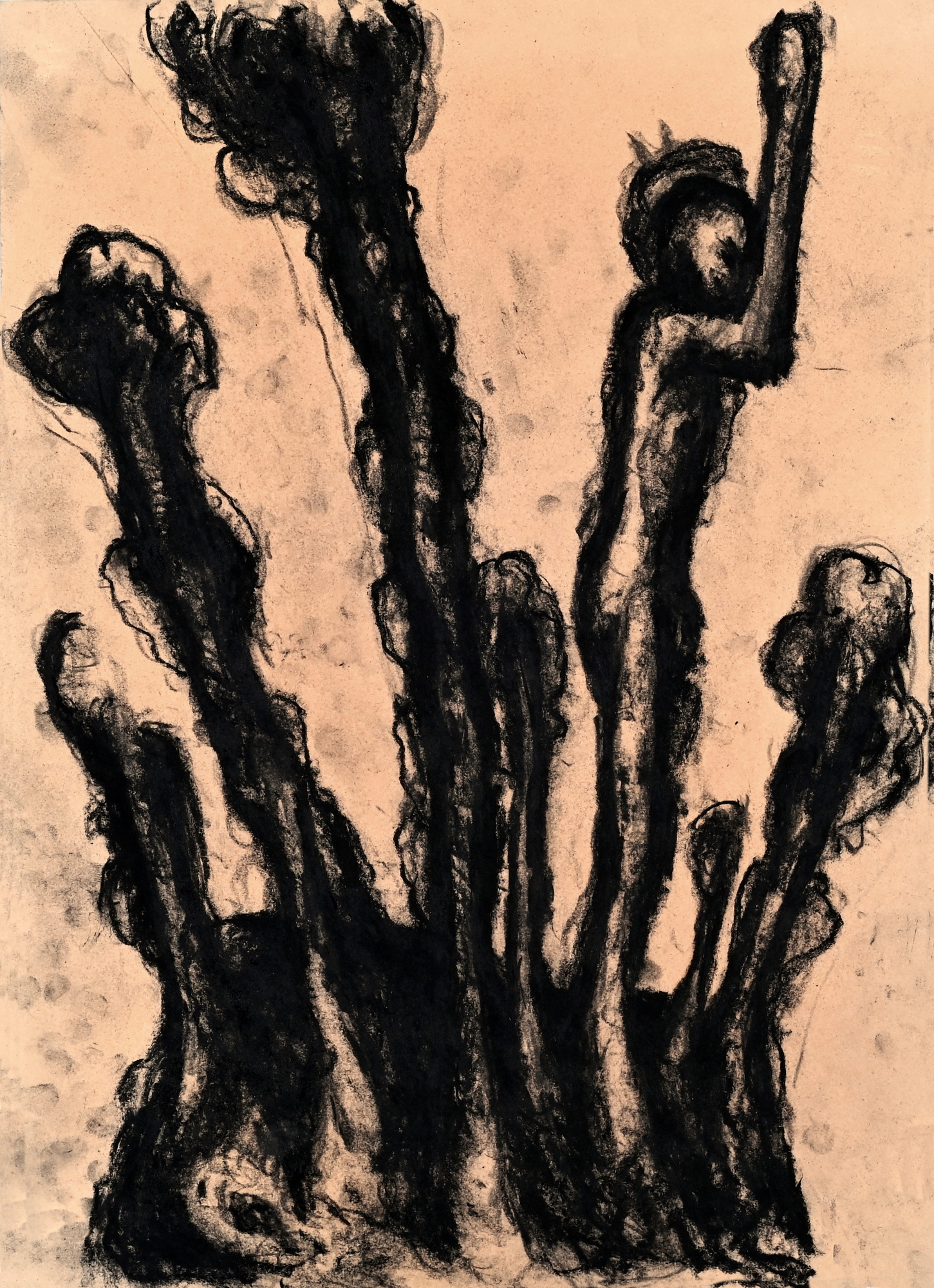 Artwork by Peter Kamm, Untitled, Made of charcoal on paper