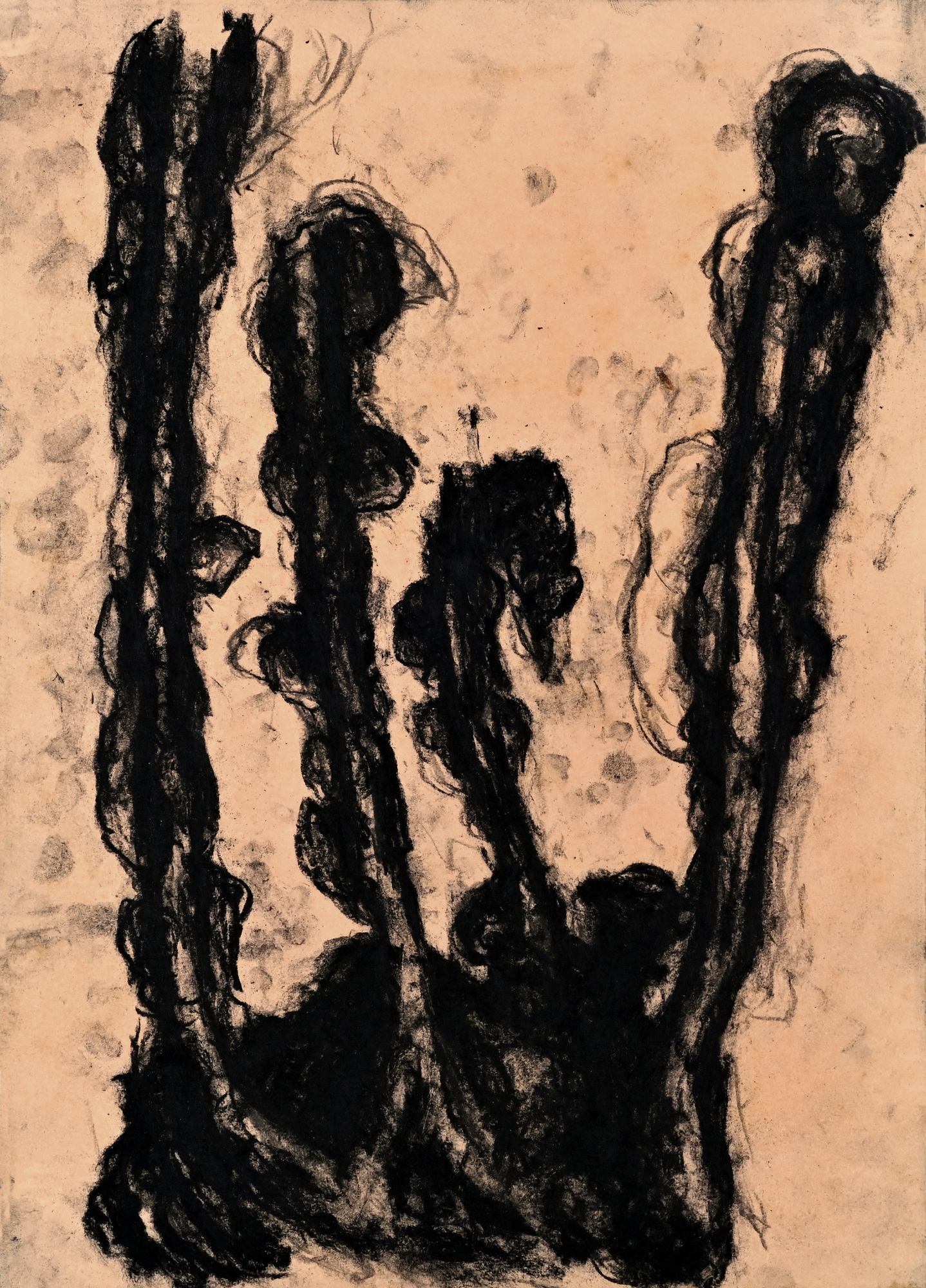 Artwork by Peter Kamm, Untitled, Made of charcoal on paper