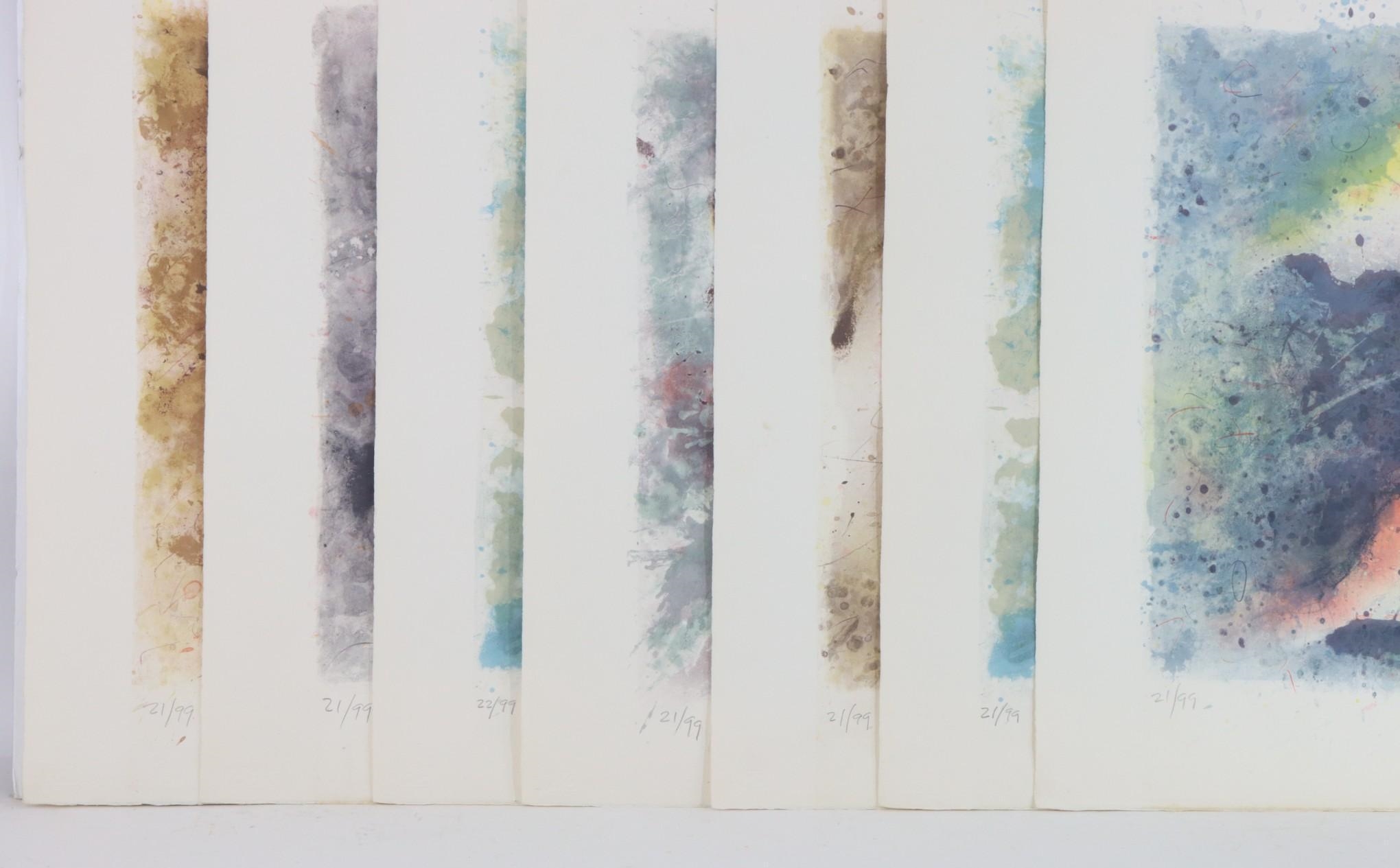 Baruj Salinas | Collection of (7) serigraphs | MutualArt