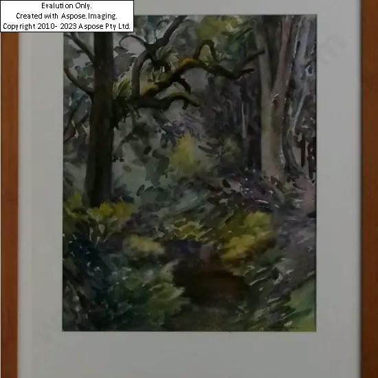 Bush Track - New Zealand