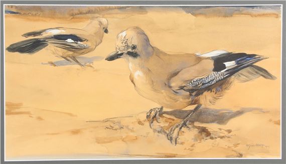 Twee gaaien - Adriaan J. van't Hoff